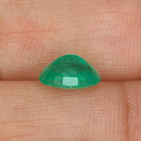 Émeraude vert naturelle coupe ovale, 1,11 ct, SI-I1