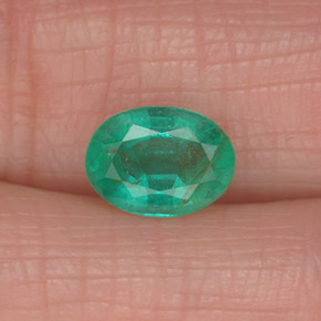 Émeraude vert naturelle coupe ovale, 1,13 ct, SI-I1