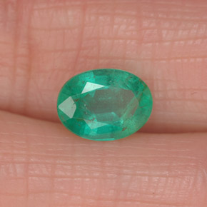 Émeraude vert naturelle coupe ovale, 1,13 ct, SI-I1