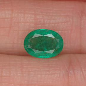 Émeraude vert naturelle coupe ovale, 1,13 ct, I1
