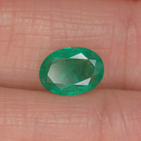 Émeraude vert naturelle coupe ovale, 1,13 ct, I1