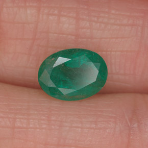 Émeraude vert naturelle coupe ovale, 1,27 ct, I1