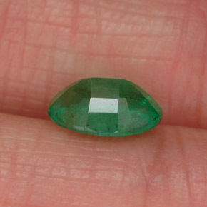 Émeraude vert naturelle coupe ovale, 1,05 ct, SI-I1