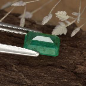 Émeraude vert naturelle taille émeraude, 0,59 ct, SI-I1
