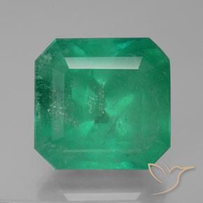 28.80ct Naturel Forêt verte Émeraude, Taille émeraude, SI