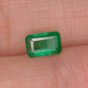 Émeraude vert naturelle taille émeraude, 0,50 ct, SI-I1