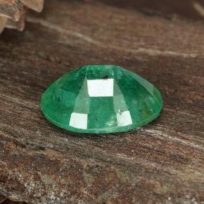 Émeraude vert naturelle coupe ovale, 1,12 ct, SI-I1