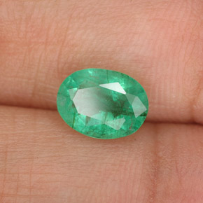 Émeraude vert naturelle coupe ovale, 1,33 ct, SI-I1