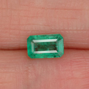 Émeraude vert naturelle taille émeraude, 0,43 ct, SI-I1