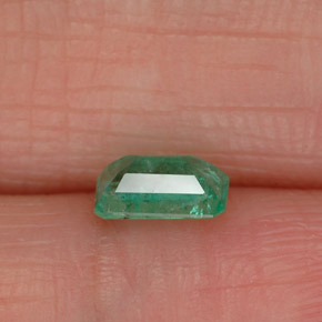 Émeraude vert naturelle taille émeraude, 0,43 ct, SI-I1