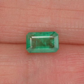 Émeraude vert naturelle taille émeraude, 0,50 ct, SI-I1