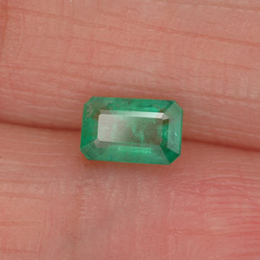 Émeraude vert naturelle taille émeraude, 0,50 ct, SI-I1