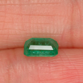 Émeraude vert naturelle taille émeraude, 0,55 ct, SI-I1