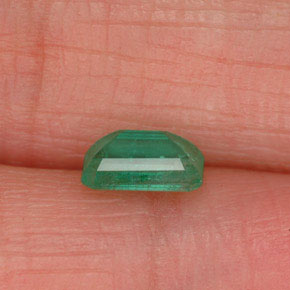 Émeraude vert naturelle taille émeraude, 0,52 ct, SI-I1
