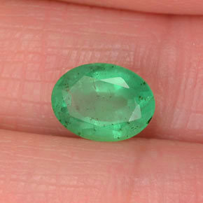 Émeraude Vert naturelle Coupe ovale, 1.17 ct, SI-I1
