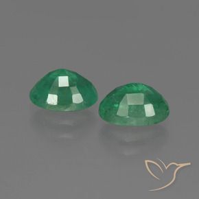 Achetez naturel 1.79ct Vert moyen Émeraude gems, Coupe ovale, En provenance Zambie chez GemSelect. En stock, livraison internationale!