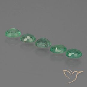Shop natural 1.60ct Vert moyen Émeraude gems, ovale, from Zambie at GemSelect. In stock, global shipping!