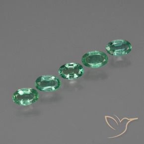 Achetez naturel 1,15ct vert émeraude gems, coupe ovale, en provenance zambie chez gemselect. en stock, livraison internationale!