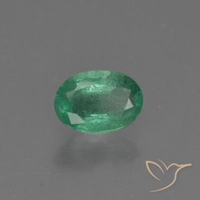 Émeraude Vert moyen naturelle ovale, 0.72 ct, SI