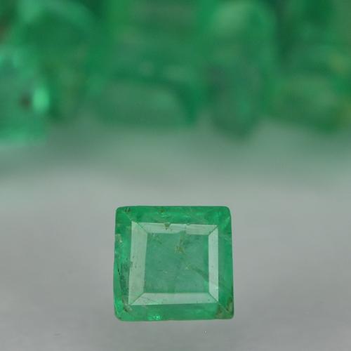 Achetez naturel 1.37ct Vert moyen Émeraude gems, Carré, En provenance Colombie chez GemSelect. En stock, livraison internationale!