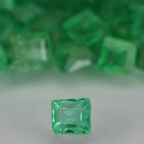 Achetez naturel 1,34ct vert émeraude gems, carré, en provenance colombie chez gemselect. en stock, livraison internationale!