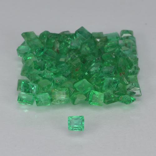Achetez naturel 1,34ct vert émeraude gems, carré, en provenance colombie chez gemselect. en stock, livraison internationale!