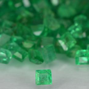 Achetez naturel 1,91ct vert émeraude gems, carré, en provenance colombie chez gemselect. en stock, livraison internationale!
