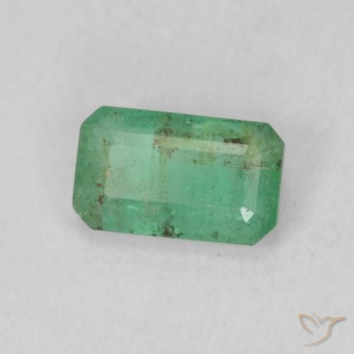 Émeraude Vert moyen naturelle Octogone / coupe Émeraude, 0.48 ct, SI