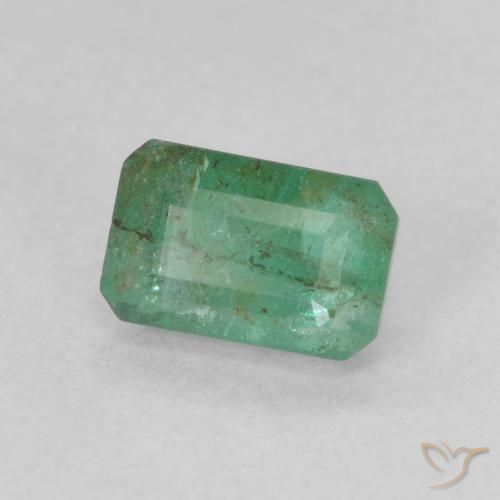 Émeraude Vert clair moyen naturelle Octogone / coupe Émeraude, 0.69 ct, SI-I1