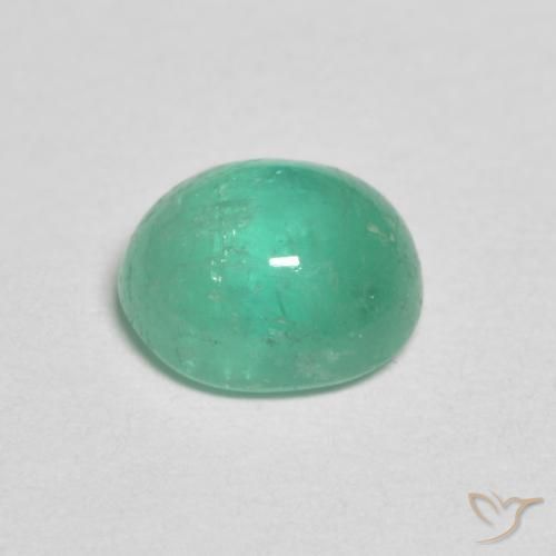 Émeraude Vert fougère naturelle ovale, 1.07 ct, Translucide