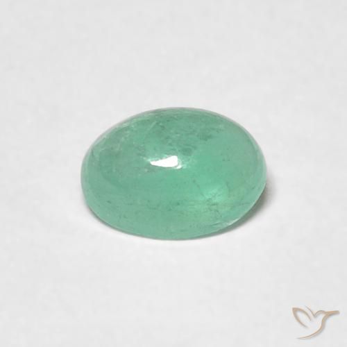 0.48ct Naturel Vert fougère Émeraude, ovale, Translucide