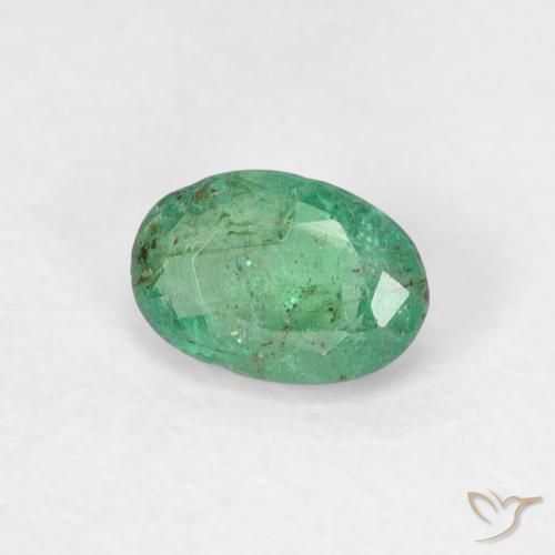 Émeraude Vert frais naturelle ovale, 0.51 ct, SI