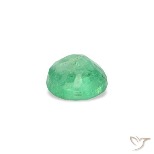 Émeraude vert naturelle coupe roude, 0,17 ct, VS-SI