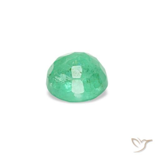 Émeraude vert naturelle coupe roude, 0,19 ct, VS-SI