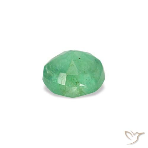 Émeraude vert naturelle coupe roude, 0,19 ct, VS-SI