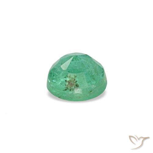 Émeraude vert naturelle coupe roude, 0,19 ct, VS-SI