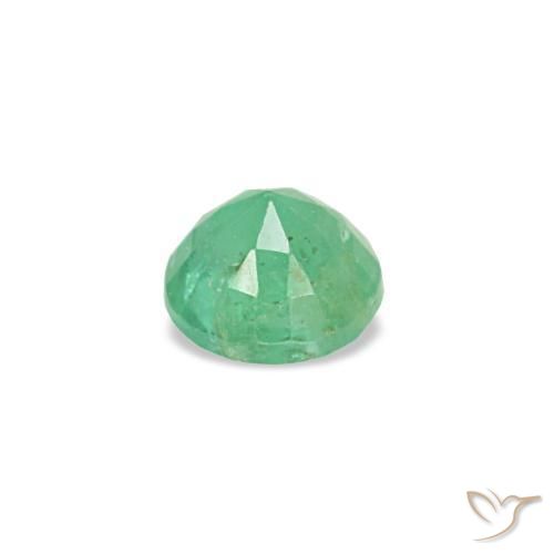 Émeraude vert naturelle coupe roude, 0,17 ct, VS-SI