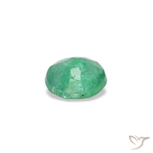 Émeraude vert naturelle coupe roude, 0,16 ct, VS-SI