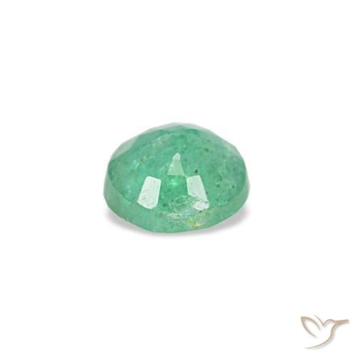 Émeraude vert naturelle coupe roude, 0,17 ct, VS-SI