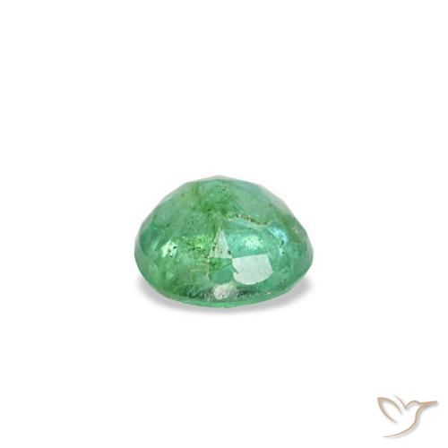 Émeraude vert naturelle coupe roude, 0,17 ct, VS-SI