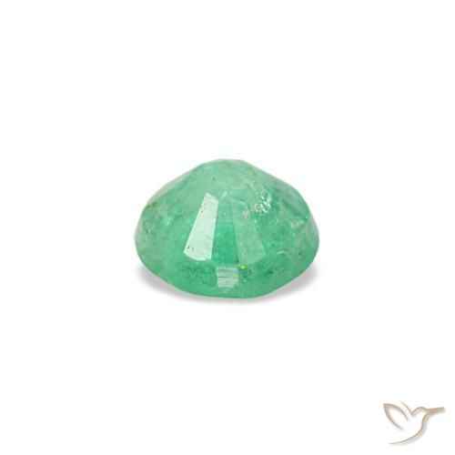 Émeraude vert naturelle coupe roude, 0,17 ct, VS-SI