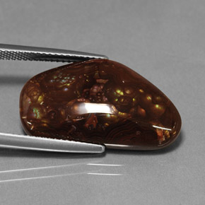 Agate de feu multicolore naturelle forme fantaisie, 12,36 ct, opaque