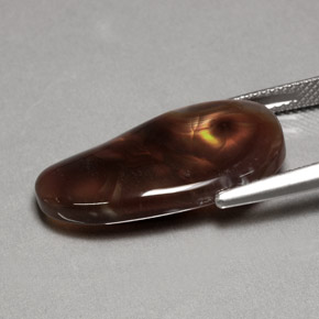 Agate de feu multicolore naturelle transparent, 10,63 ct, transparent / translucide