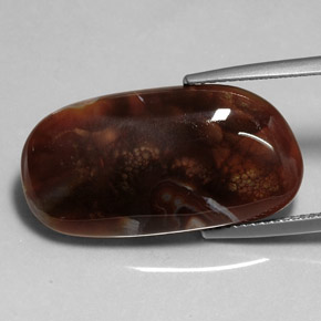 Agate de feu multicolore naturelle transparent, 11,99 ct, transparent / translucide