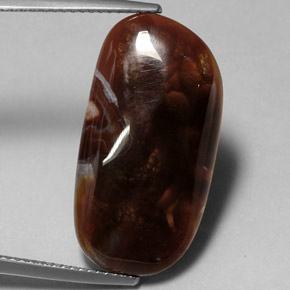 Agate de feu multicolore naturelle transparent, 11,99 ct, transparent / translucide