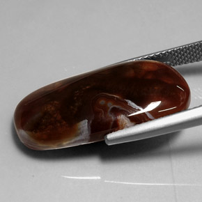Agate de feu multicolore naturelle transparent, 11,99 ct, transparent / translucide