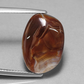 Agate de feu multicolore naturelle transparent, 7,85 ct, transparent / translucide