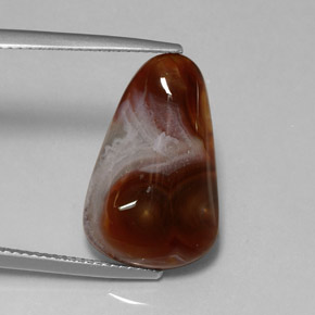 Agate de feu multicolore naturelle transparent, 8,39 ct, transparent / translucide