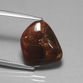 Agate de feu multicolore naturelle transparent, 7,31 ct, transparent / translucide