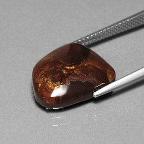 Agate de feu multicolore naturelle transparent, 7,31 ct, transparent / translucide